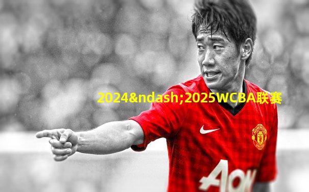 2024–2025WCBA联赛
