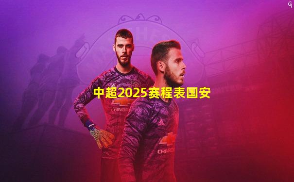 中超2025赛程表国安