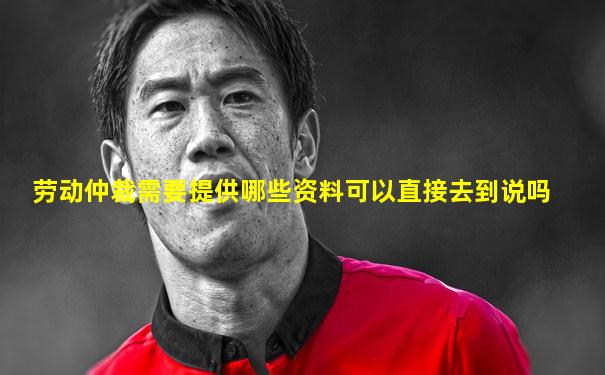 劳动仲裁需要提供哪些资料可以直接去到说吗