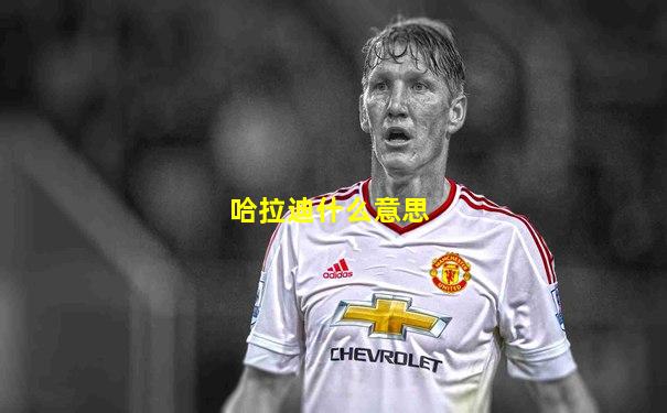 哈拉迪什么意思