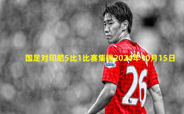 国足对印尼5比1比赛集锦2024年10月15日