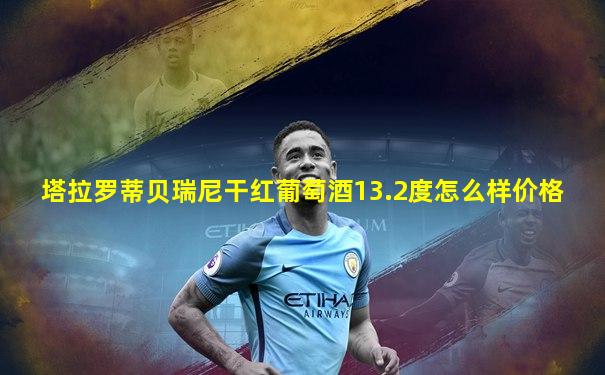 塔拉罗蒂贝瑞尼干红葡萄酒13.2度怎么样价格
