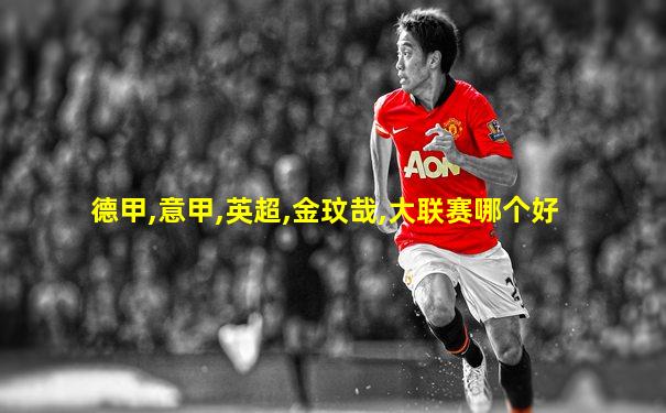 德甲,意甲,英超,金玟哉,大联赛哪个好