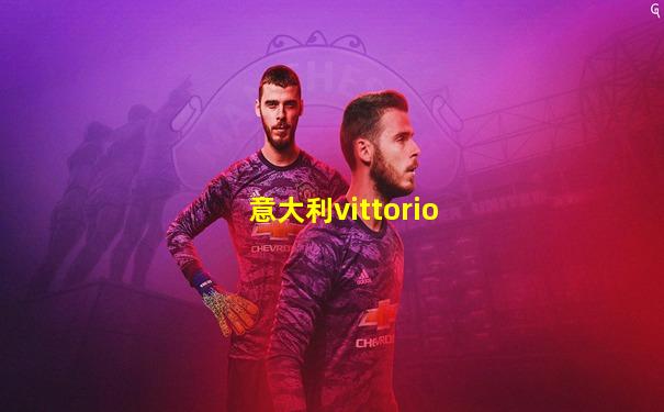 意大利vittorio