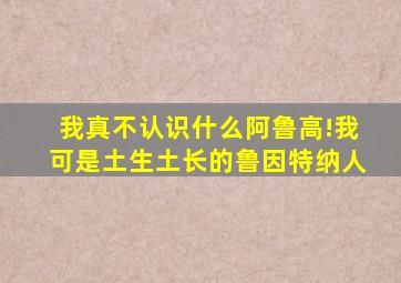我真不认识什么阿鲁高!我可是土生土长的鲁因特纳人