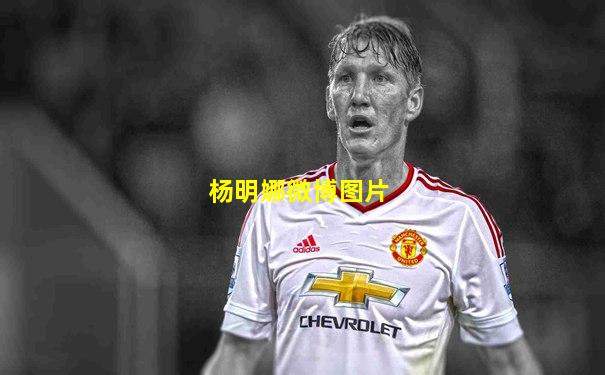 杨明娜微博图片
