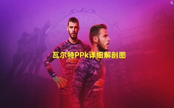 瓦尔特PPk详细解剖图