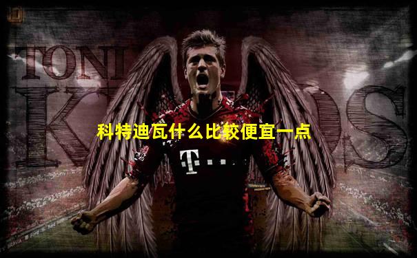 科特迪瓦什么比较便宜一点