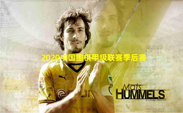2020中国围棋甲级联赛季后赛