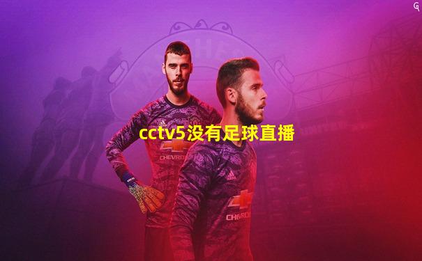 cctv5没有足球直播