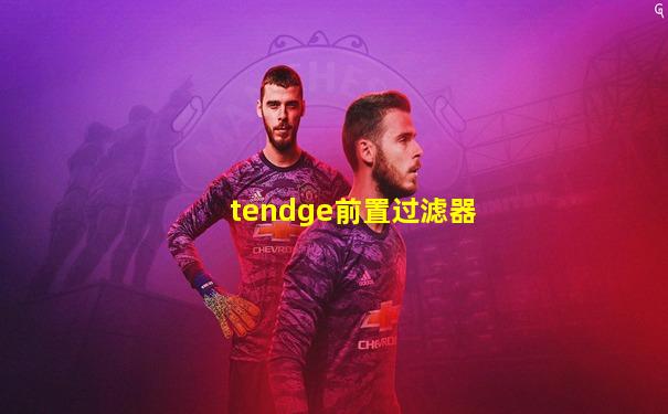tendge前置过滤器