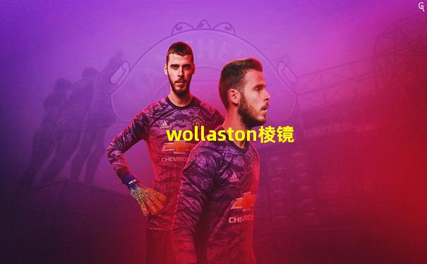 wollaston棱镜