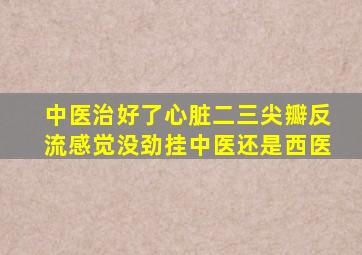 中医治好了心脏二三尖瓣反流感觉没劲挂中医还是西医