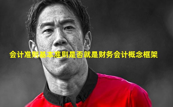 会计准则基本准则是否就是财务会计概念框架