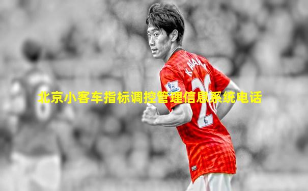 北京小客车指标调控管理信息系统电话