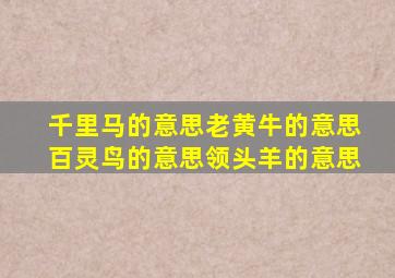 千里马的意思老黄牛的意思百灵鸟的意思领头羊的意思
