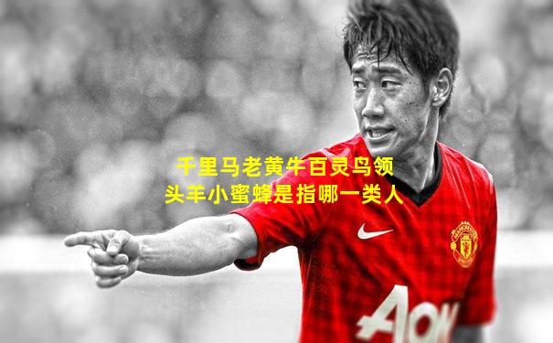 千里马老黄牛百灵鸟领头羊小蜜蜂是指哪一类人