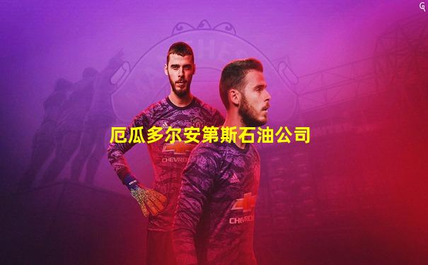 厄瓜多尔安第斯石油公司