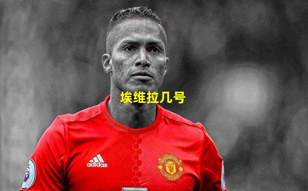 埃维拉几号