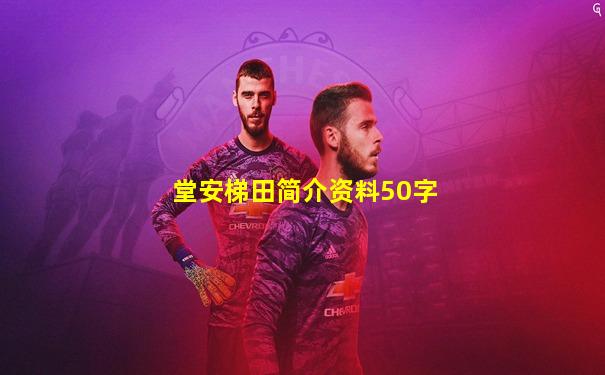 堂安梯田简介资料50字