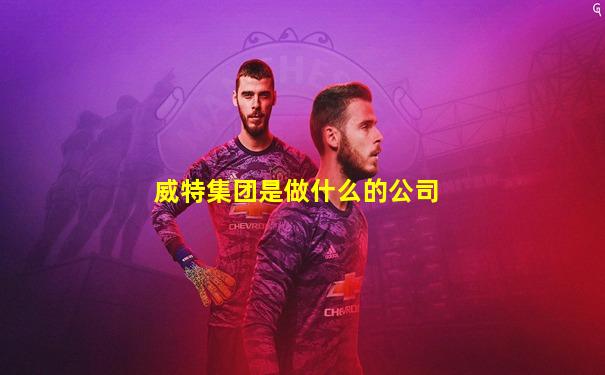 威特集团是做什么的公司