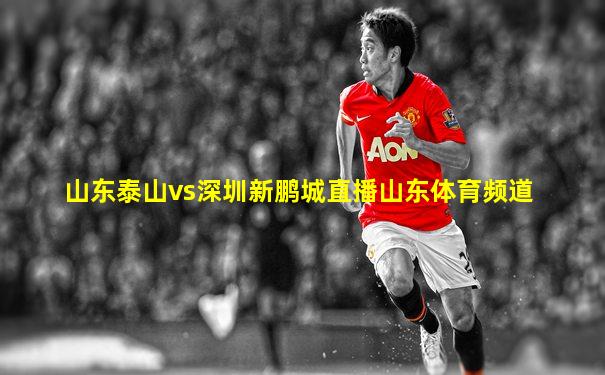 山东泰山vs深圳新鹏城直播山东体育频道
