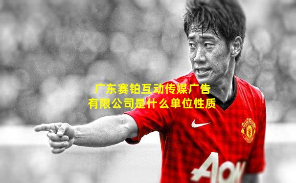 广东赛铂互动传媒广告有限公司是什么单位性质