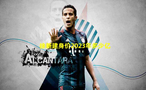 徐新建身价2023年多少亿