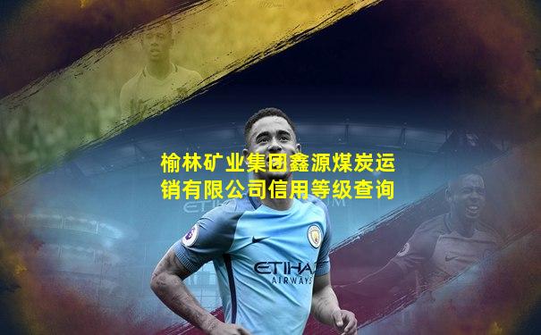 榆林矿业集团鑫源煤炭运销有限公司信用等级查询