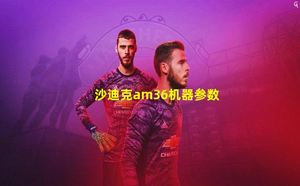 沙迪克am36机器参数