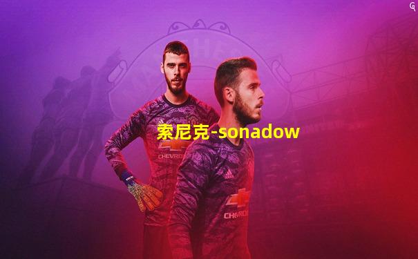 索尼克-sonadow
