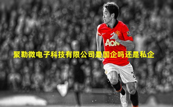 聚勒微电子科技有限公司是国企吗还是私企