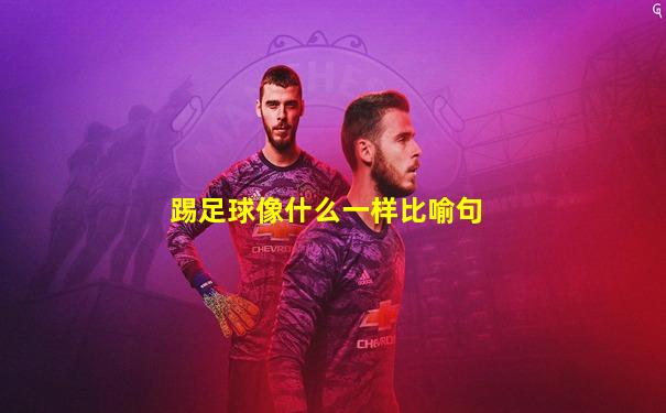 踢足球像什么一样比喻句