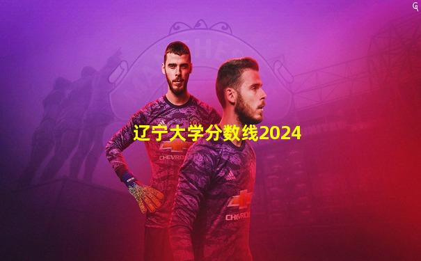 辽宁大学分数线2024